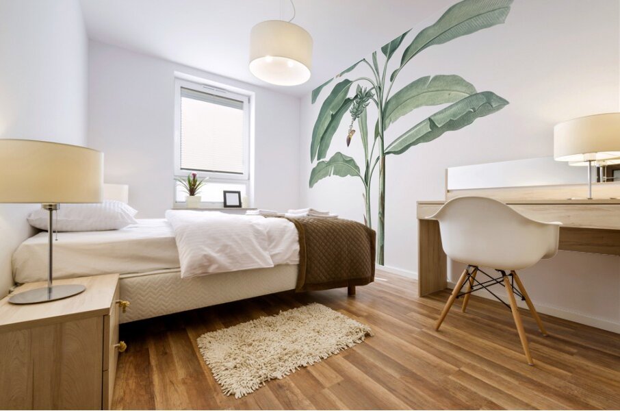 Banana illustration  Mural print