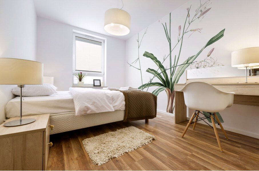 Wavy-leafed soap plant illustration  Mural print