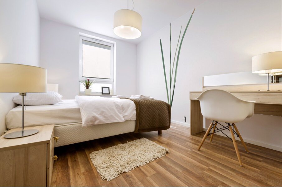 Species daffodil illustration  Mural print