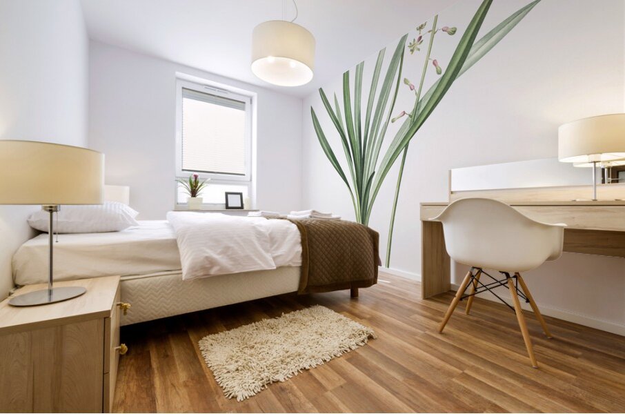 Satin squill illustration  Mural print