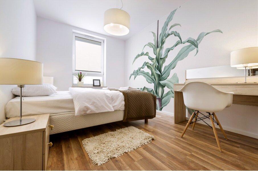 Broadleaf wild leek illustration  Mural print