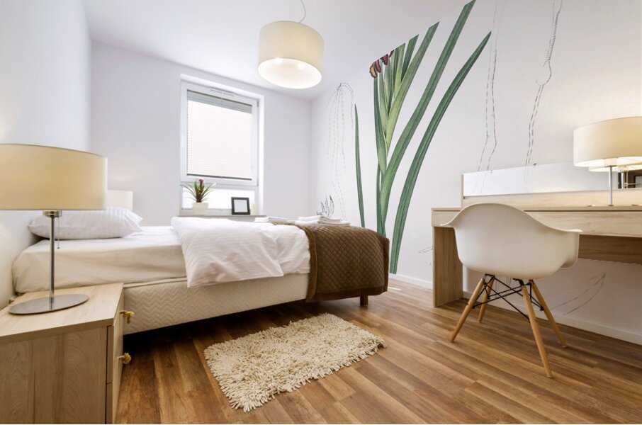 Spider iris illustration  Mural print