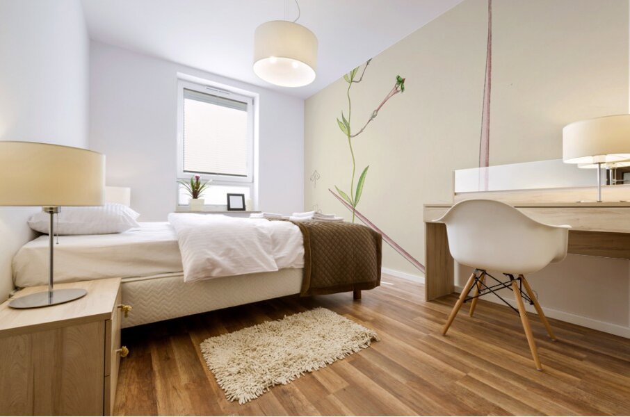 Ceropegia Rendallii Mural print