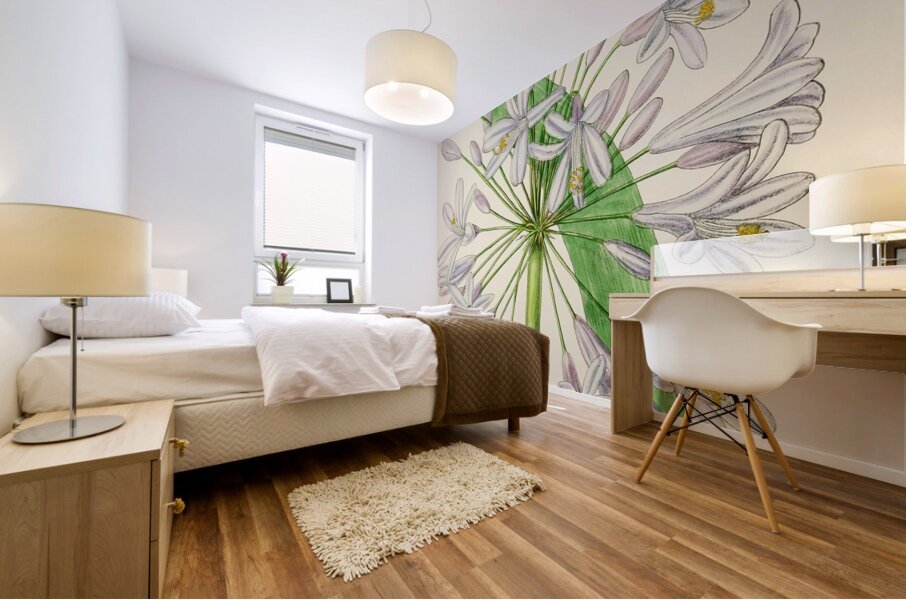 Agapanthus Umbellatus Mural print