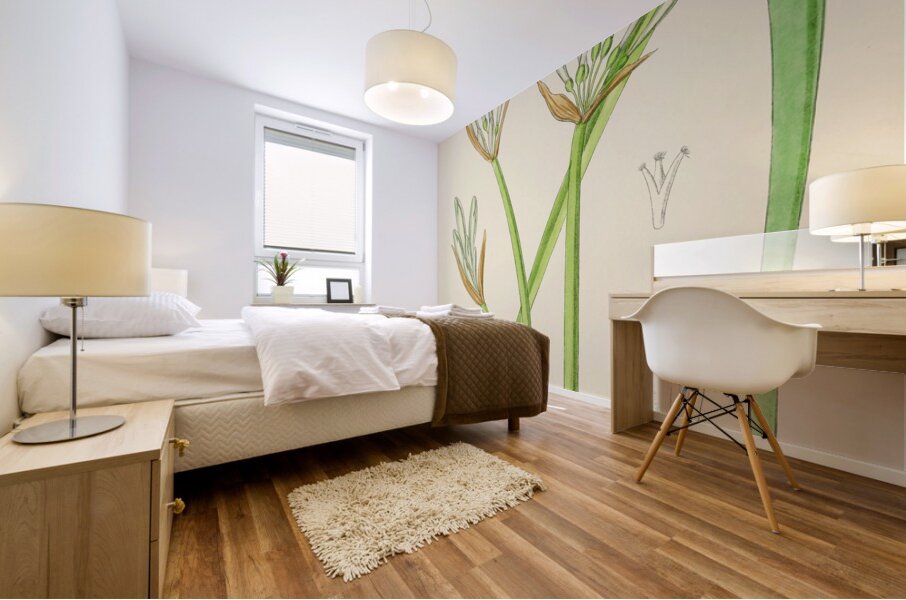 Cyrtanthus Mckenii Mural print