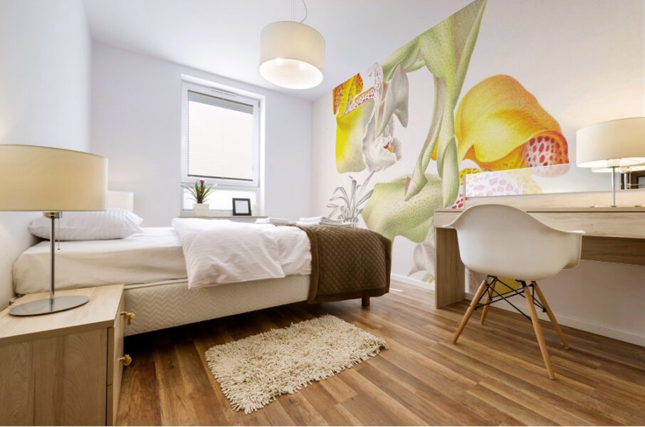 Coryanthes bungerothi  Mural print