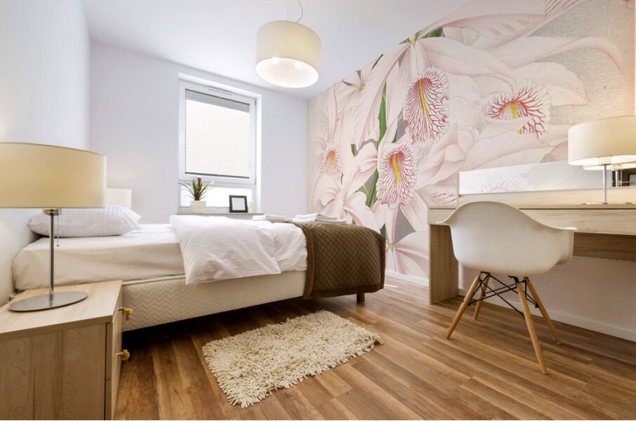 Cattleya Maxima Mural print