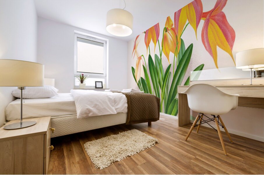 Masdevallia veitchiana  Mural print