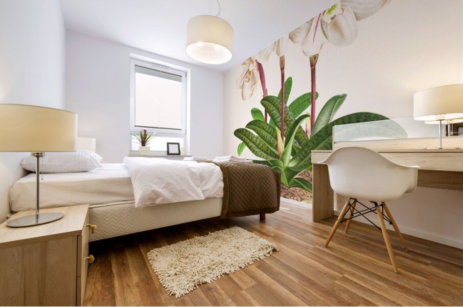 Cypripedium microchilum Mural print
