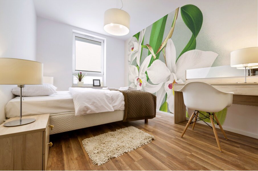 Laelia anceps var hyeana Mural print