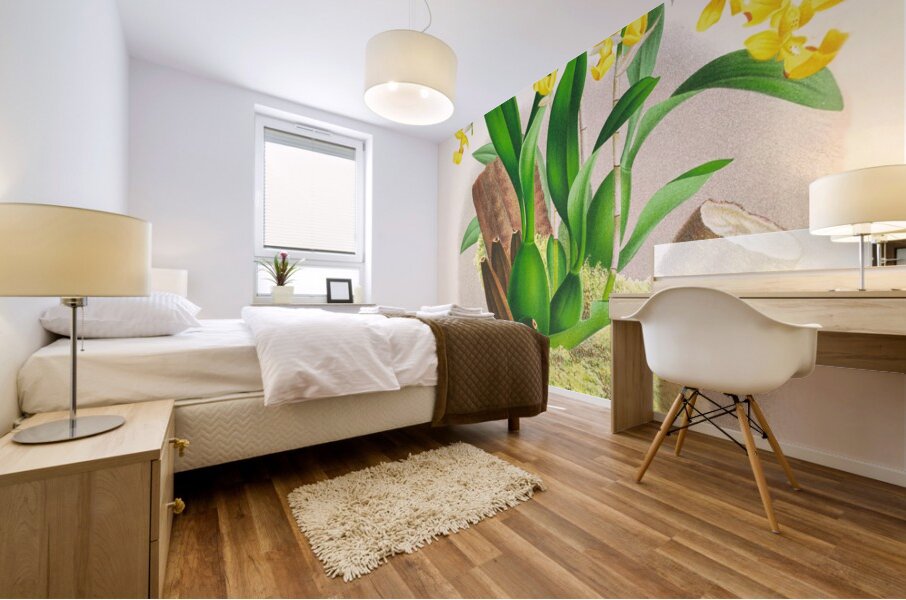 Oncidium warscewiczi Mural print