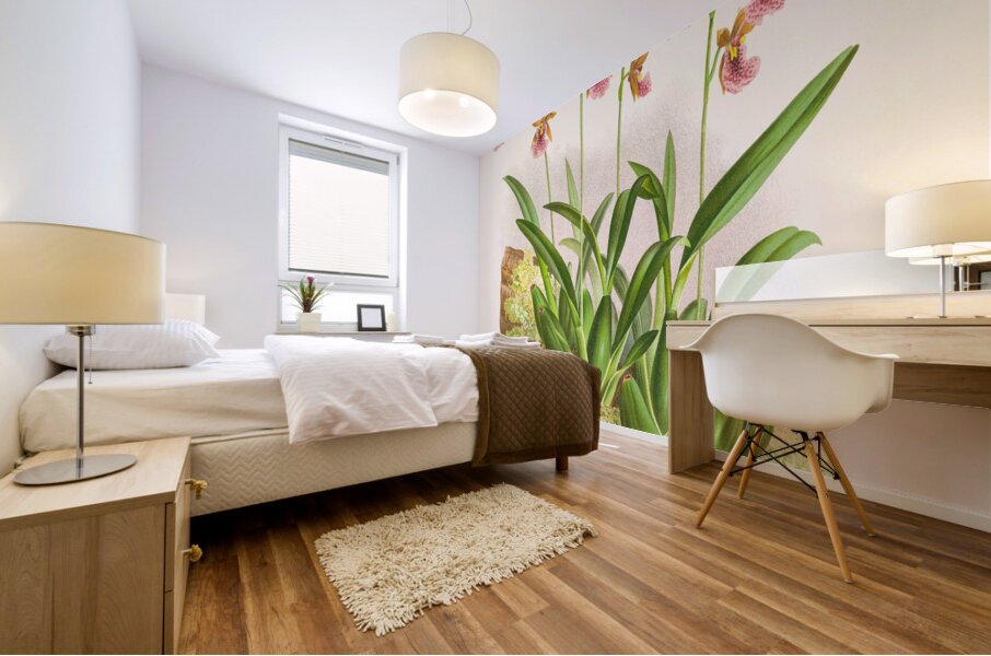 Oncidium cucullatum Mural print