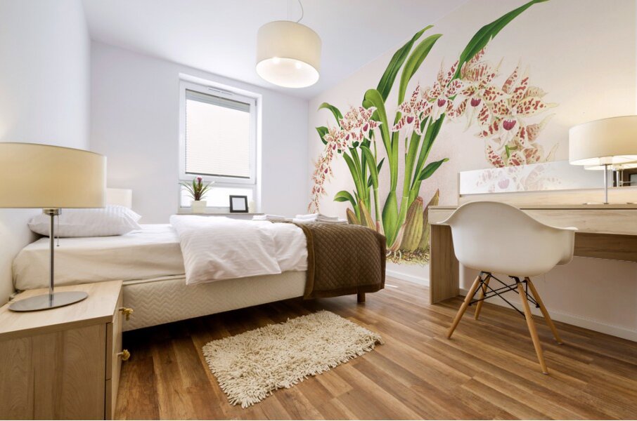 Odontoglossum lucianianum Mural print