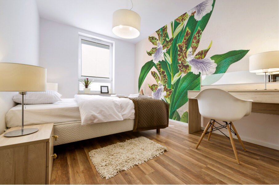 Zygopetalum intermedium Mural print