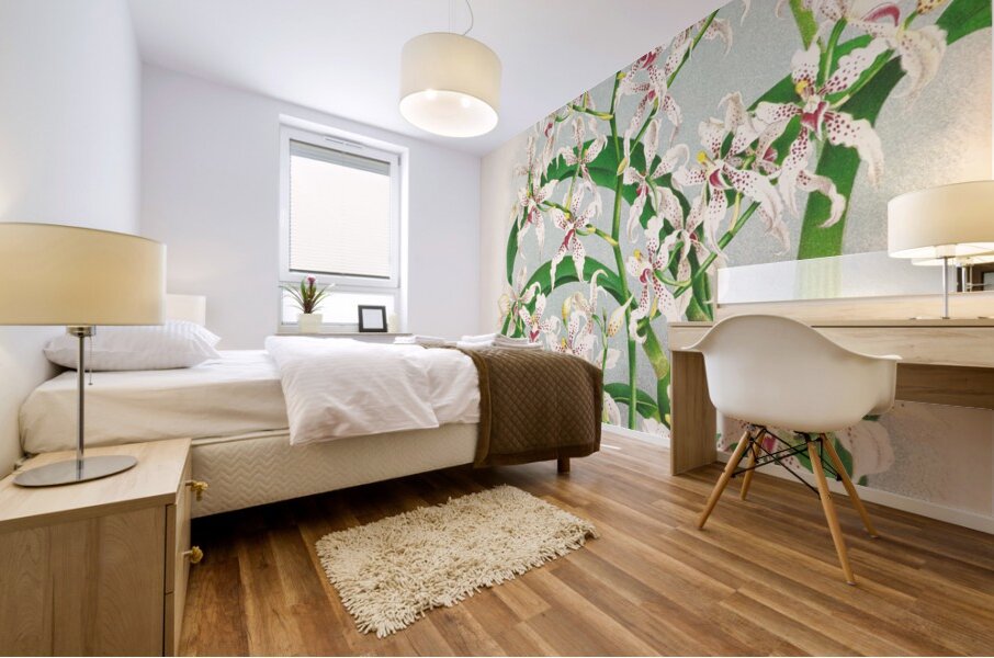 Odontoglossum ramosissimum Mural print