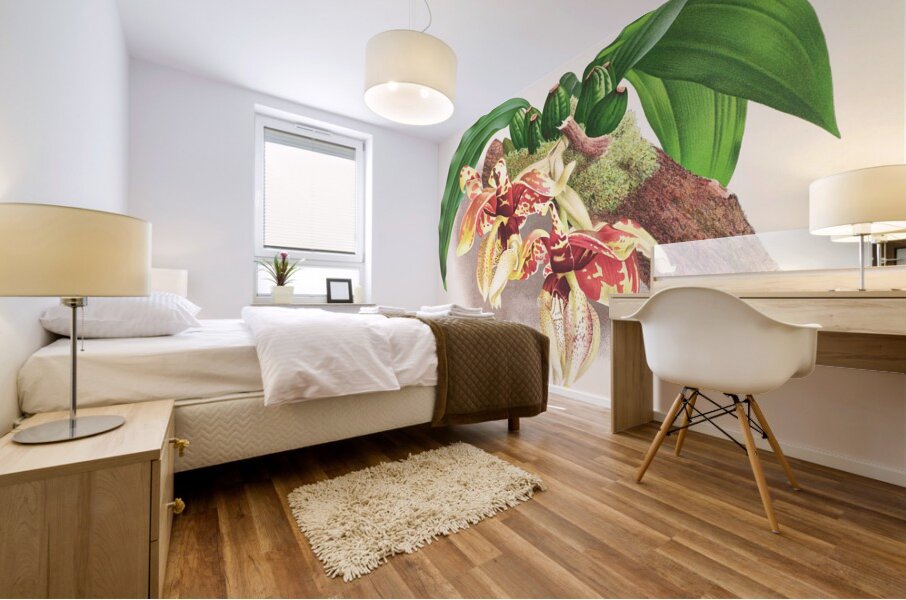 Stanhopea Tigrina Mural print