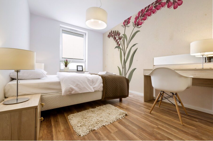 Pentand. Monog. [Lysimachia nutans] 1817 Mural print