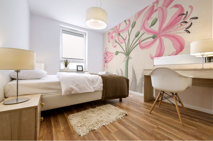 Amarillis [Boophone disticha] 1817 Mural print