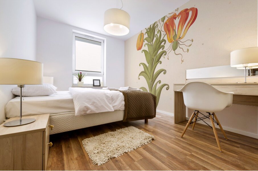 Gloriosa [Gloriosa superba] 1817 Mural print