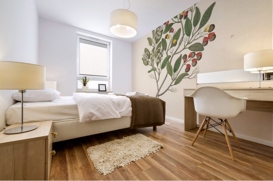 Celastrus [Apodytes dimidiata] 1817 Mural print