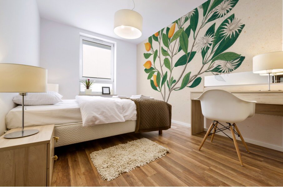 Hexand. Mono. [Mimusops obovata] 1817 Mural print