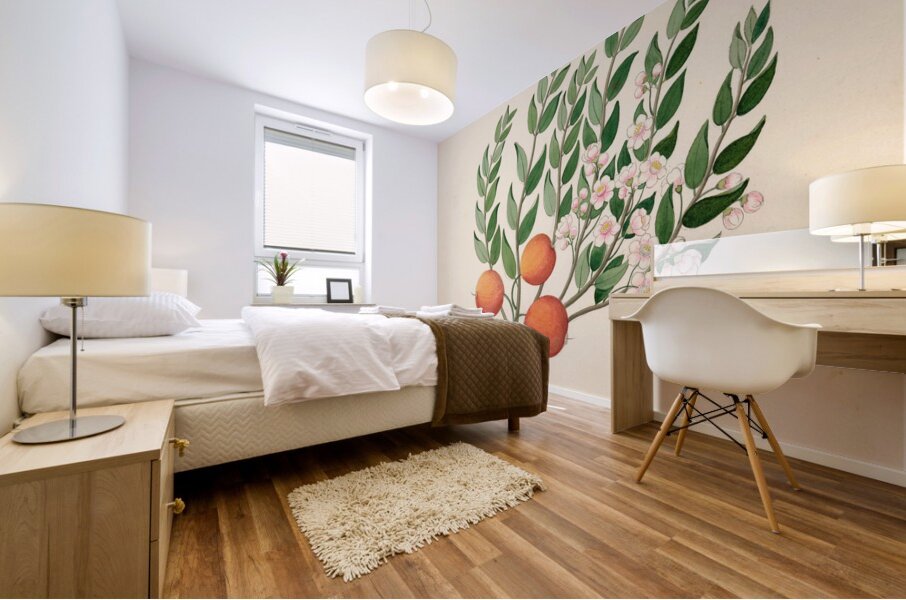 Eugenia or. Jambo [Eugenia albanensis] 1817 Mural print