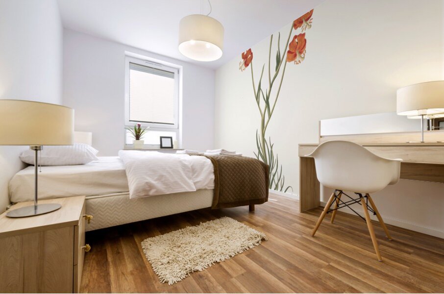 Lilium Pyrenaicum 1834 Mural print