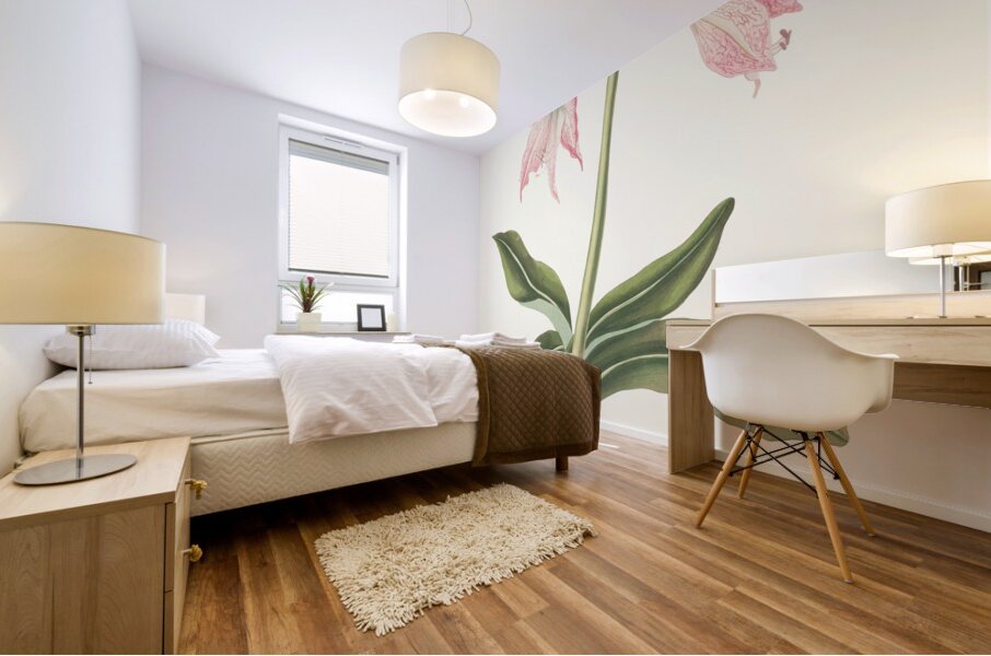 Amaryllis Steilatafolia 1834 Mural print