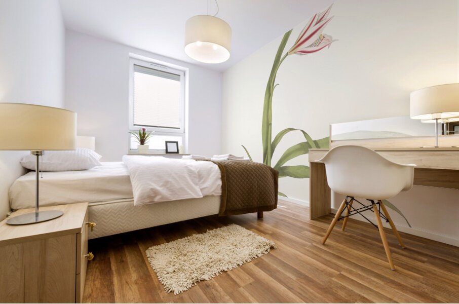 Crinum Yuccæides 1834 Mural print