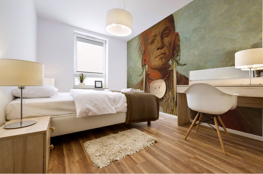 See-non-ty-a an Iowa Medicine Man 1844-1845 Mural print