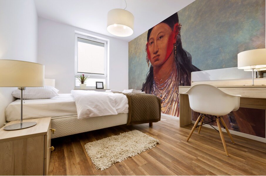 Koon-za-ya-me Female War Eagle 1844 Mural print