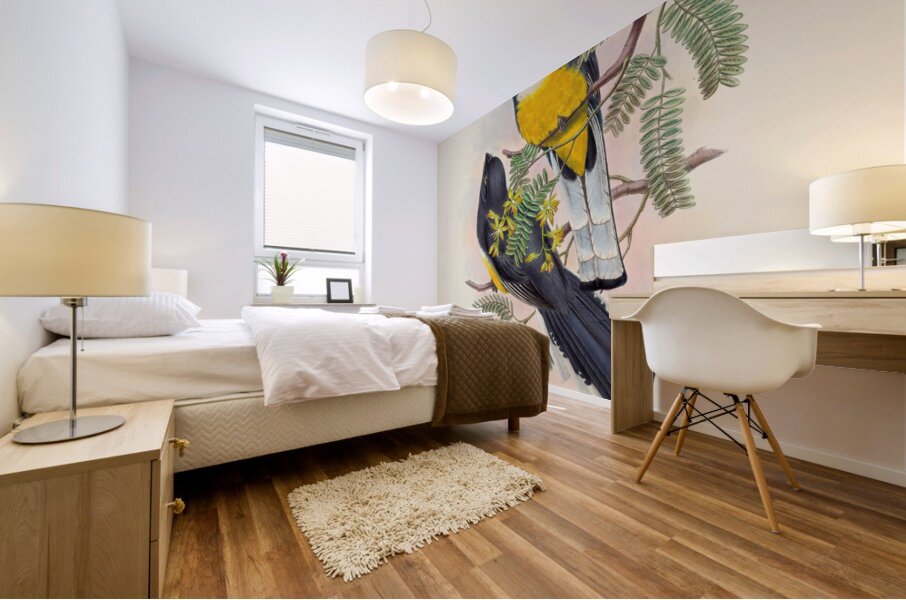 John Gould trogons 045 Mural print