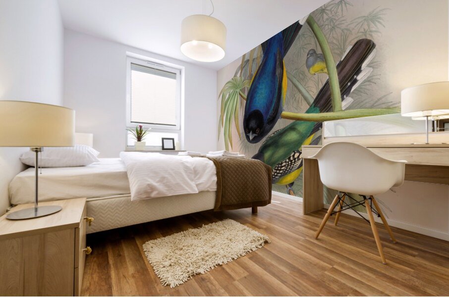 John Gould trogons 007 Mural print