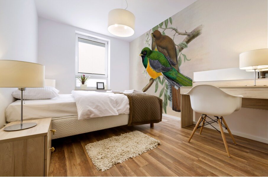 John Gould trogons 040 Mural print