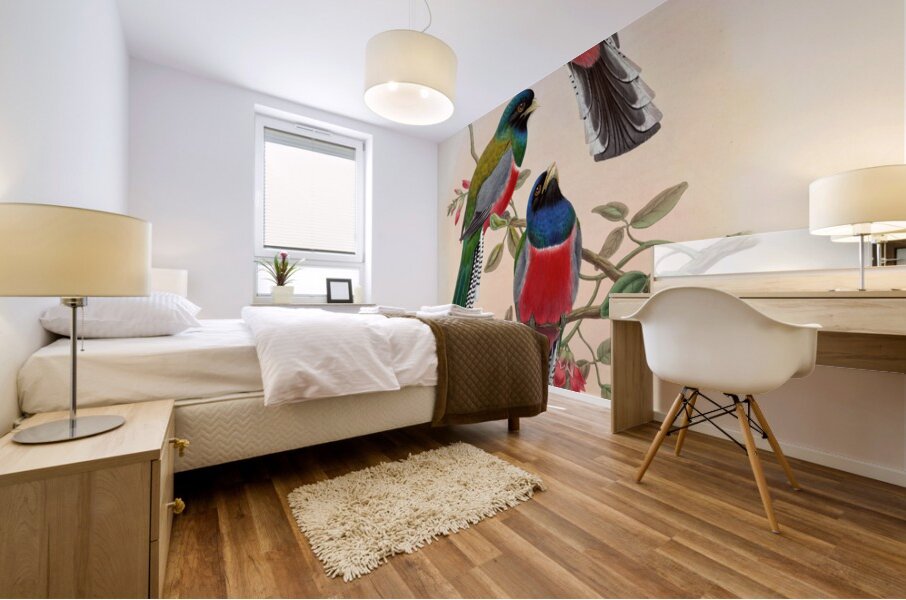 John Gould trogons 042 Mural print