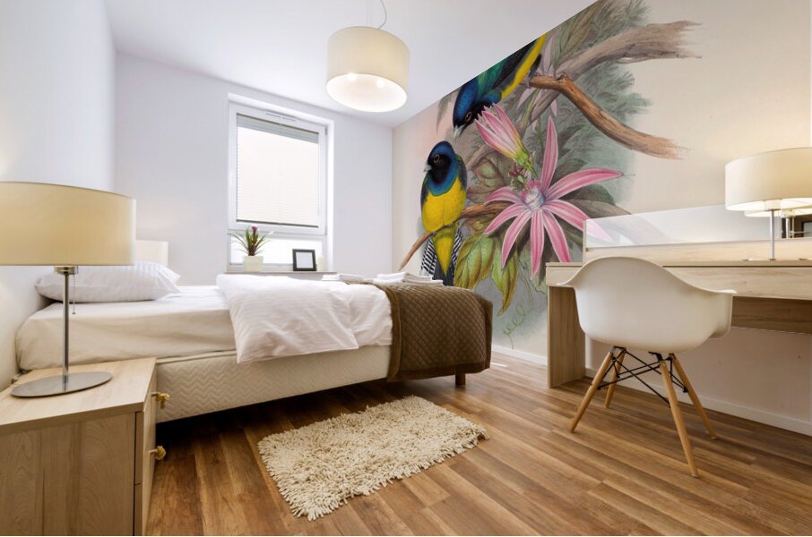 John Gould trogons 008 Mural print