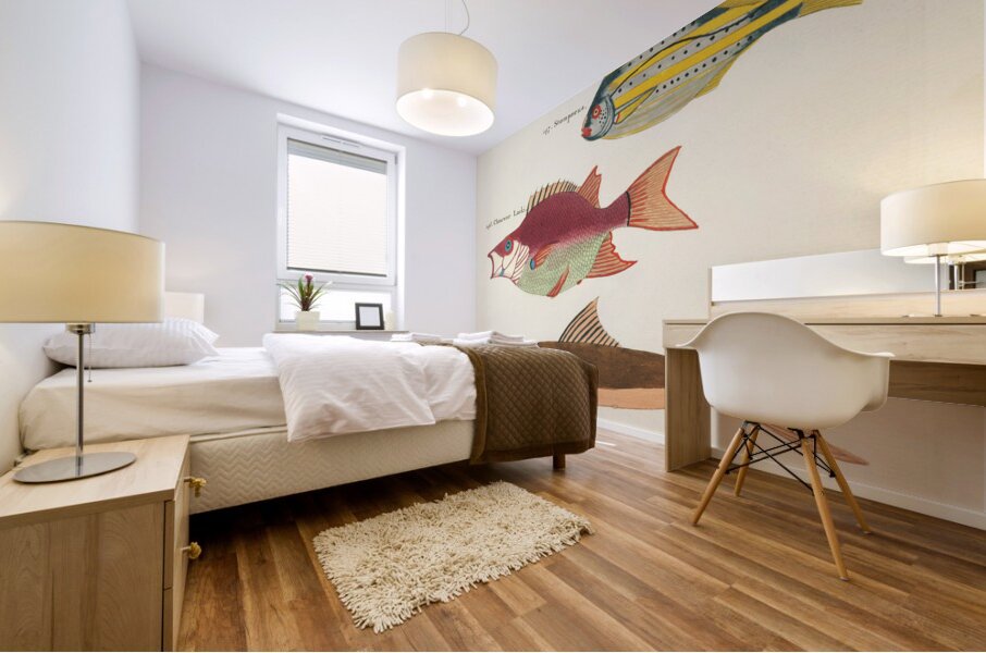 Colourful and surreal illustrations of fishes found in Moluccas Indonesia and the East Indies by Louis Renard 1678 -1746 from Histoire naturelle des plus rares curiositez de la mer des Indes 1754. Mural print