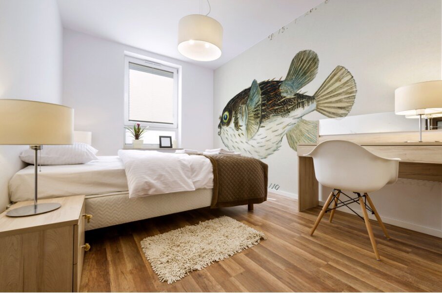 Antique fish diodon sp porcupine fish South Pacific Fishes by Frank Edward Clarke 1849-1899.  Mural print