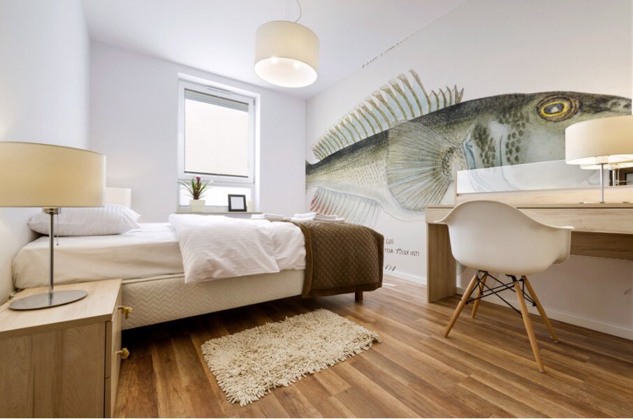 Antique fish Parapercis colias South Pacific Fishes by Frank Edward Clarke 1849-1899.  Mural print