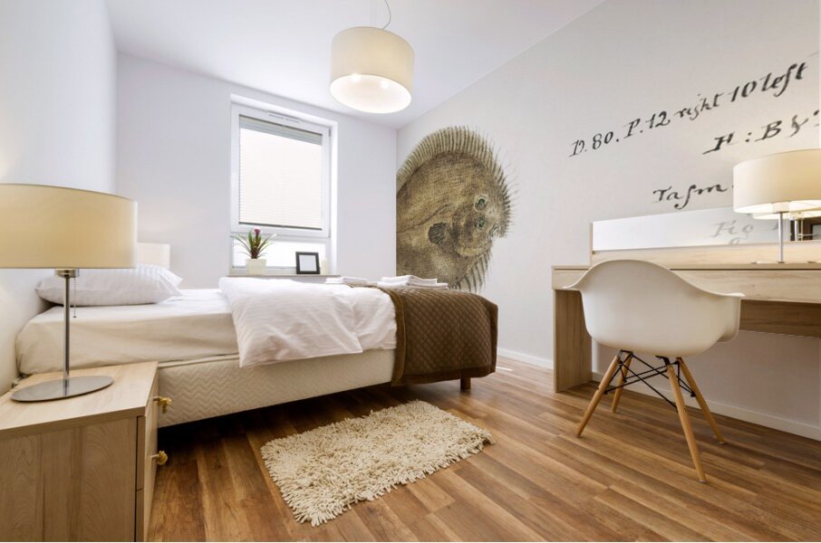 Antique fish possibly ammotretis sp flounder South Pacific Fishes by Frank Edward Clarke 1849-1899.  Mural print