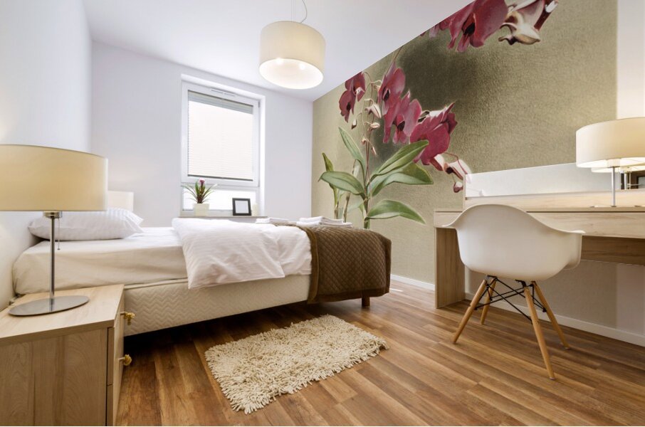 Dendrobium phalænopsis var statterianum from Reichenbachia Orchids 1888-1894 illustrated by Frederick Sander 1847-1920.  Mural print