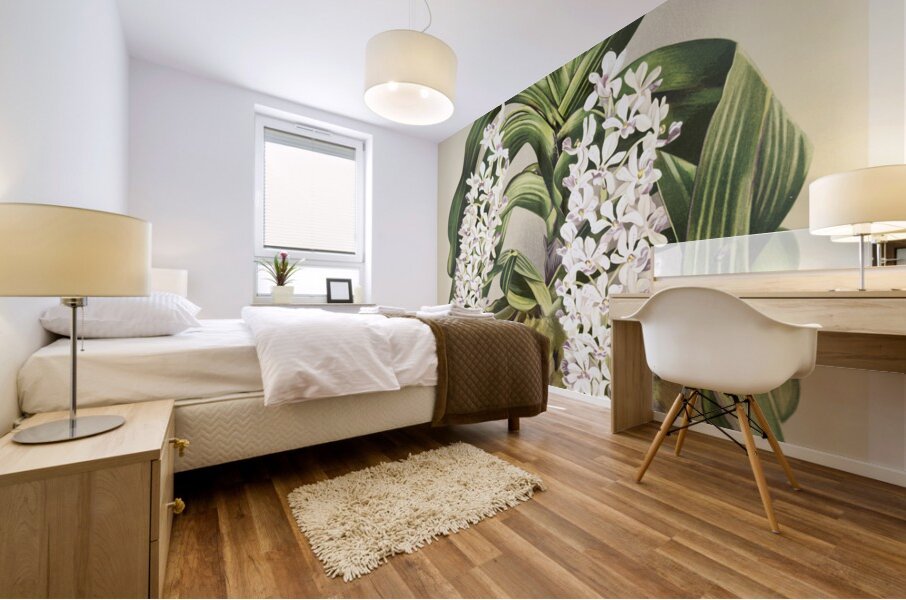 Cypripedium hybridum laucheanum cypripedium hybridum eyermanianum from Reichenbachia Orchids 1888-1894 illustrated by Frederick Sander 1847-1920.  Mural print