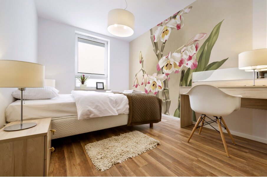 Dendrobium wardianum from Reichenbachia Orchids 1888-1894 illustrated by Frederick Sander 1847-1920.  Mural print