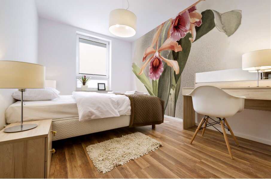 Lælia grandis from Reichenbachia Orchids 1888-1894 illustrated by Frederick Sander 1847-1920.  Mural print