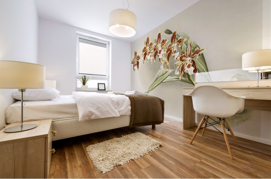 Odontoglossum luteo-purpureum from Reichenbachia Orchids 1888-1894 illustrated by Frederick Sander 1847-1920.  Mural print