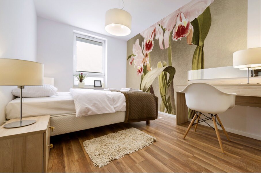 Cattleya labiata var luedemanniana from Reichenbachia Orchids 1888-1894 illustrated by Frederick Sander 1847-1920.  Mural print