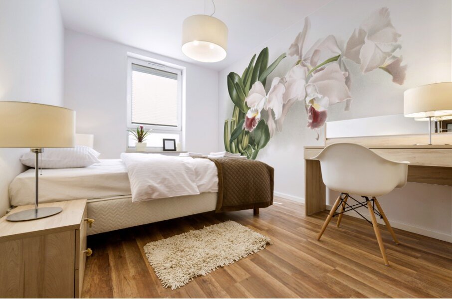 Cypripedium lemoinierianum from Reichenbachia Orchids 1888-1894 illustrated by Frederick Sander 1847-1920.  Mural print