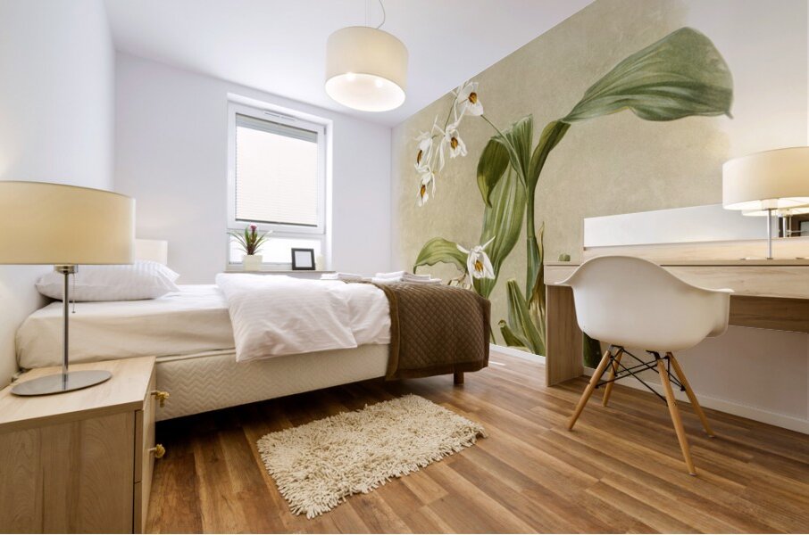 Coelogyne sanderæ from Reichenbachia Orchids 1888-1894 illustrated by Frederick Sander 1847-1920.  Mural print