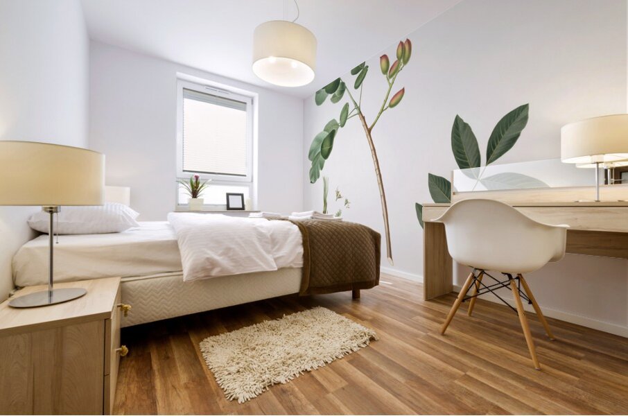 Pistachio Pistacia vera from Pomona Italiana 1817 - 1839 by Giorgio Gallesio 1772-1839.  Mural print