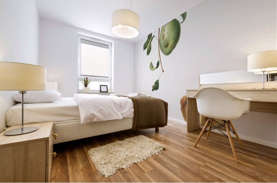 Jujube Fiorazione del Giuggiolo from Pomona Italiana 1817 - 1839 by Giorgio Gallesio 1772-1839.  Mural print